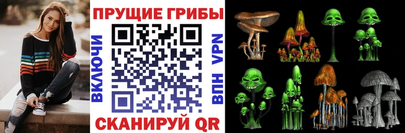 Псилоцибиновые грибы ЛСД  Котельнич 